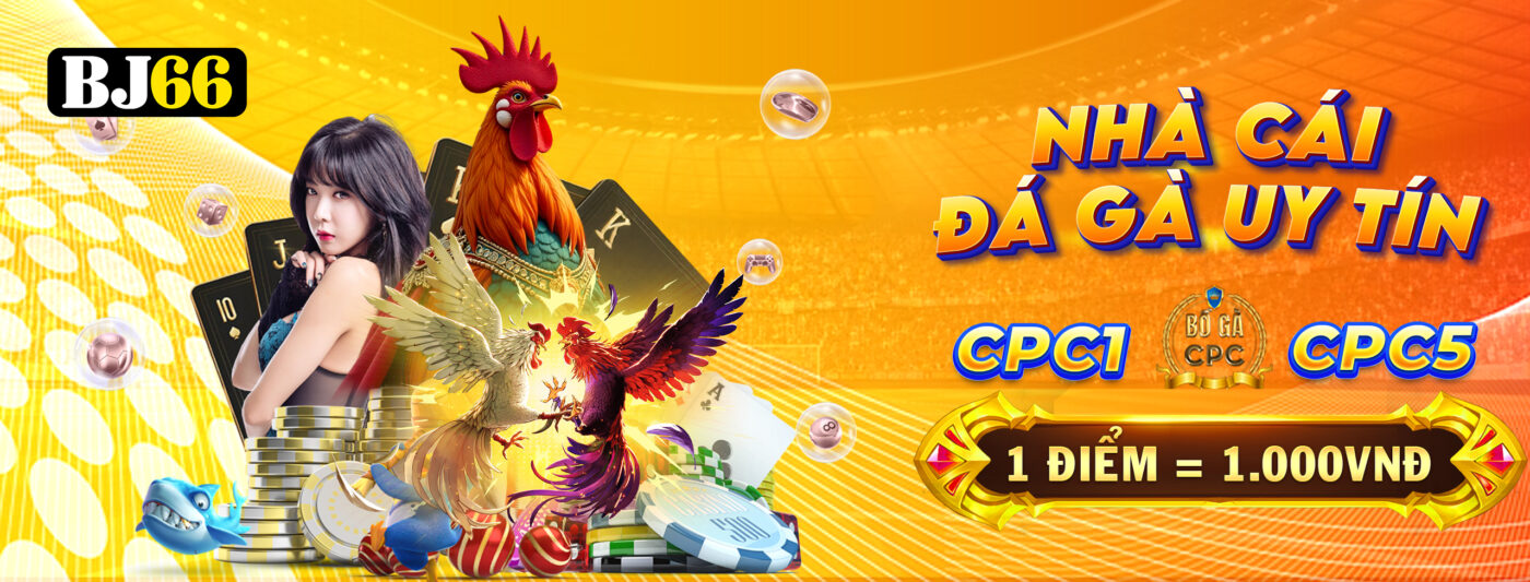 banner bj662