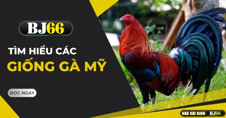 cac giong ga my bj66
