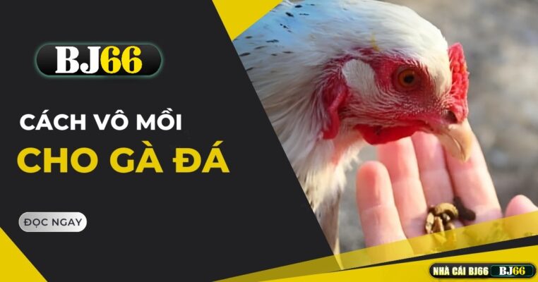 cach vo moi cho ga da