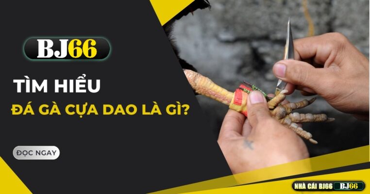 da ga cua dao BJ66