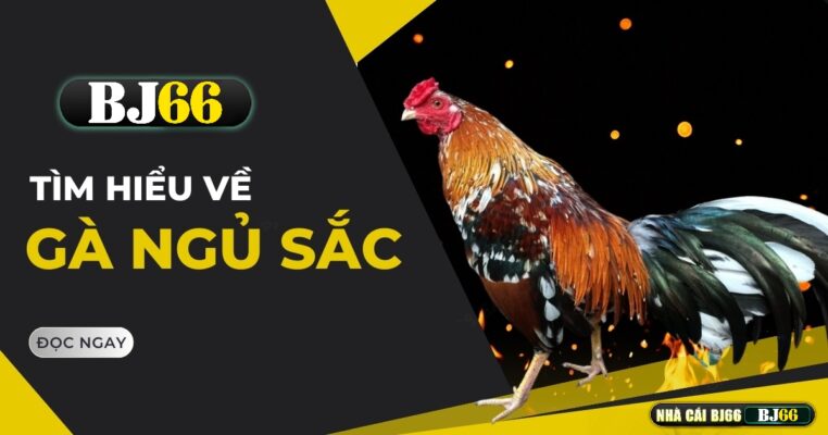 ga ngu sacbj66