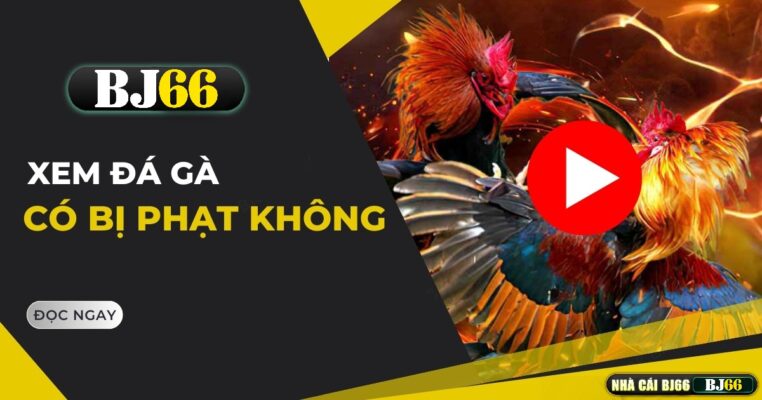 xem da ga co bi phat khong chi tiet